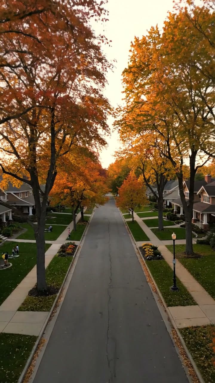 A tree lined Central Ohio neighborhood
